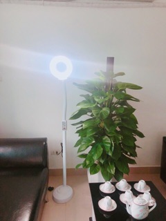 Đèn led lup spa