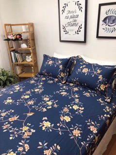 Set ga gối cotton