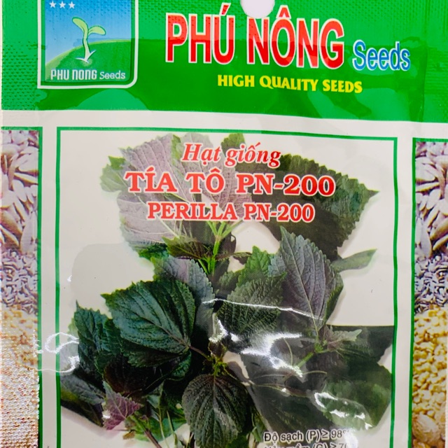 Hạt giống tía tô