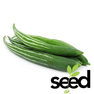 Hạt giống lặc lày lai f1 2 gram