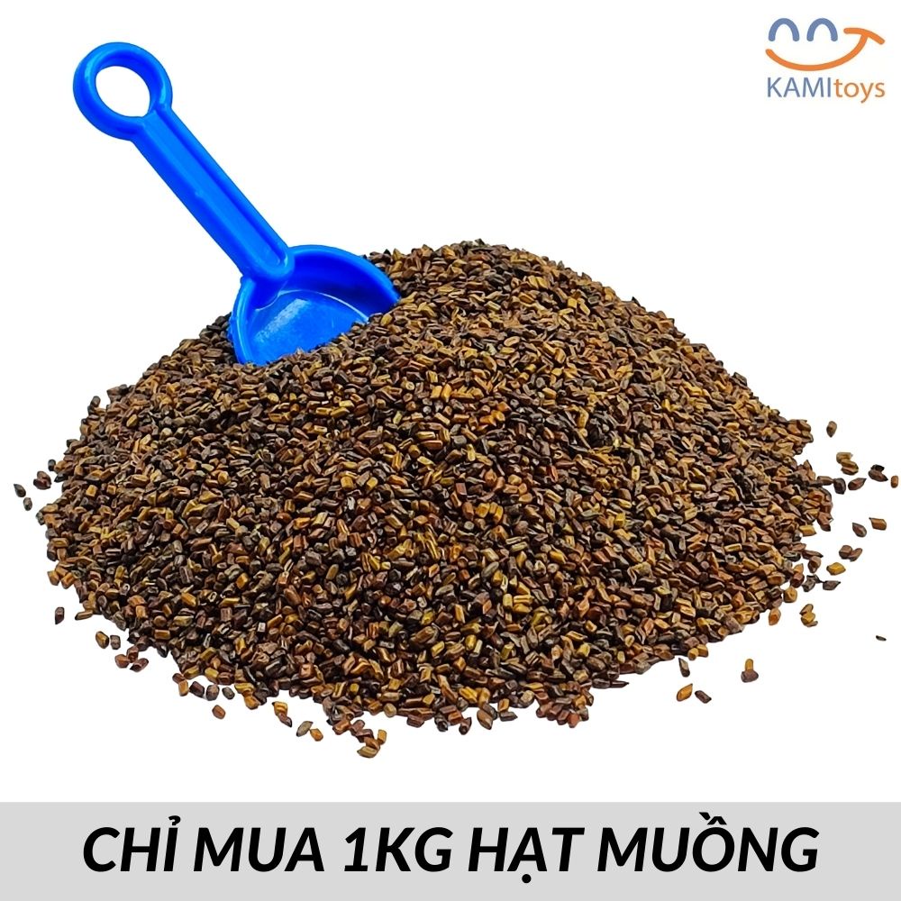 Đồ chơi đi biển xúc cát hạt muồng cho bé (Chọn mẫu Xe đã kèm khuôn và dụng cụ đầy đủ)