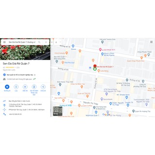 Chậu Đất Nung Trắng