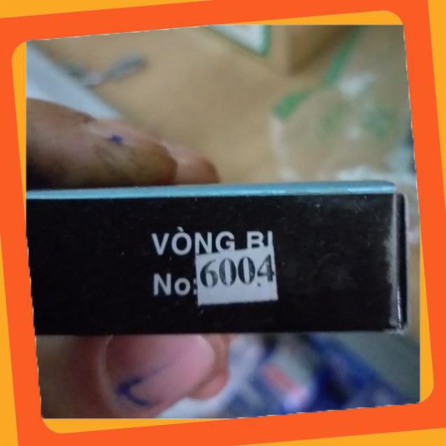 Vòng bi 6004