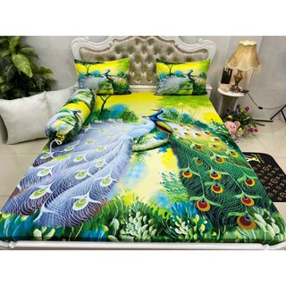 Drap thun cotton 5D lạnh Thái Lan nhập khẩu cao cấp