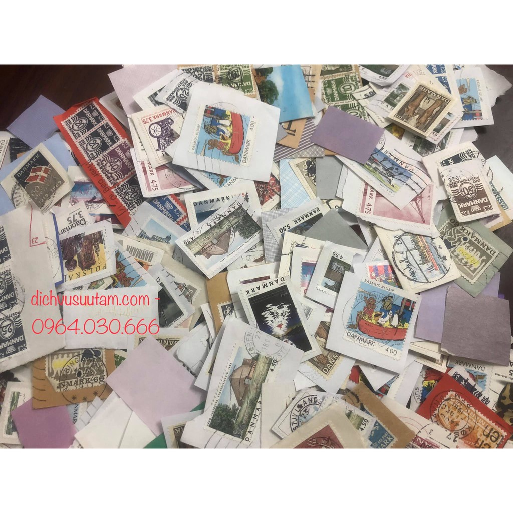 Tem Đan Mạch sưu tầm 20 con khác nhau