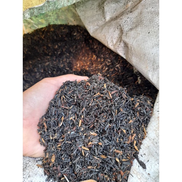 0.5kg trấu hun
