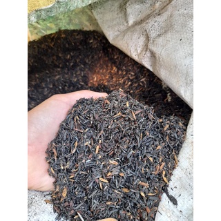 0.5kg trấu hun