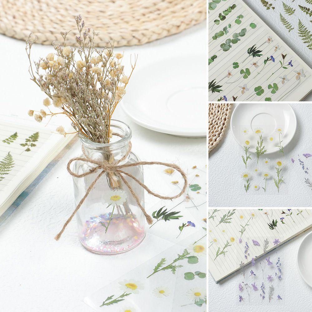 Daphs Sticker PET Chống Thấm Nước Dán Trang Trí Nhật Ký / Văn Phòng / Trường Học