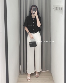 SƠ MI CỔ ĐỨC VIỀN CHỈ 2 MÀU ĐEN/ TRẮNG
