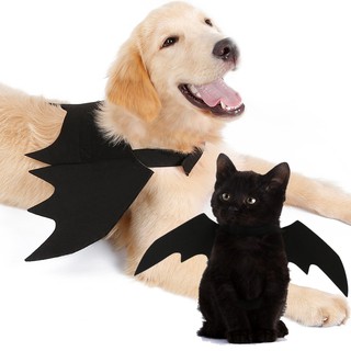 Đồ Hóa Trang Halloween Cho Thú Cưng