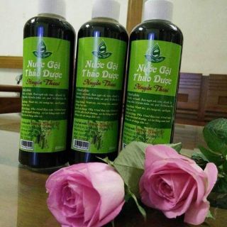 Nước gội thảo dược huyền thoại