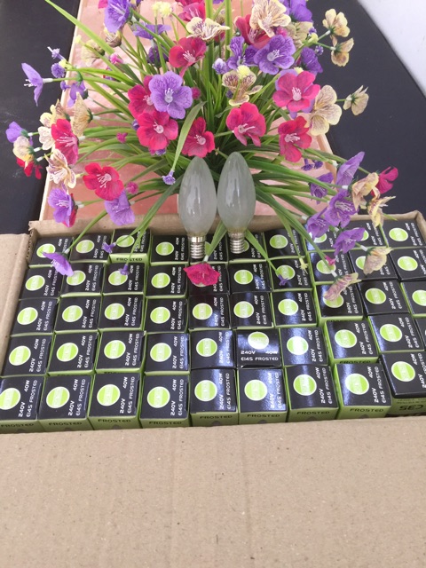 Bộ 2 bóng đèn sử dụng cho hộp đá muối | BigBuy360 - bigbuy360.vn