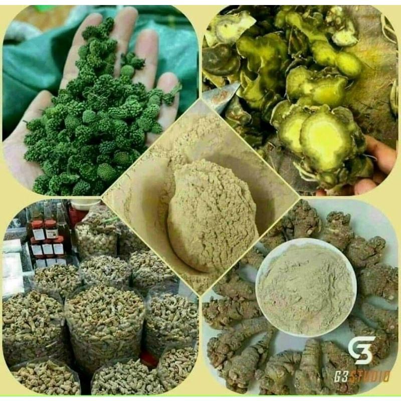 NỤ HOA TAM THẤT XANH ĐẸP  - HÀNG VIỆT NAM - LOẠI 1 THƯỢNG HẠNG - QUÀ BIẾU TẶNG CAO CẤP