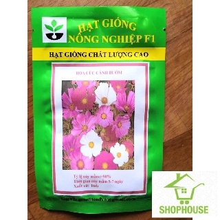 shophouse Gói 100 hạt giống cúc cánh bướm mix ( Sao nháy mix)  SHOP HOUSE  TẾT KHUYẾN MẠI