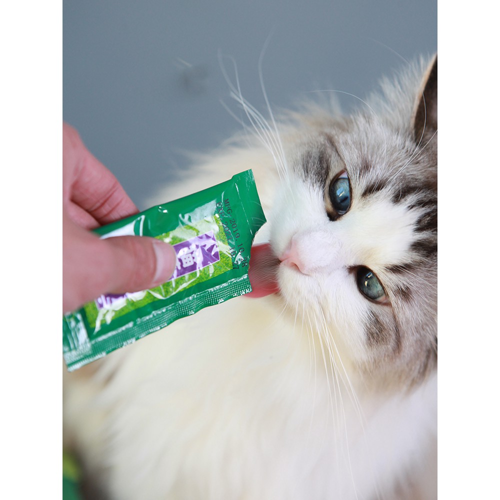 [HÀ NỘI] Súp Cỏ Catnip Bài Trừ Búi Lông Trong Dạ Dày Mèo Đẩy Lông Vón Cục Vị Cá Ngừ,Cá Ngừ Vằn