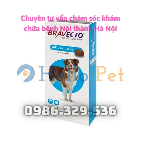 [BRAVECTO] - Sản phẩm dành cho chó