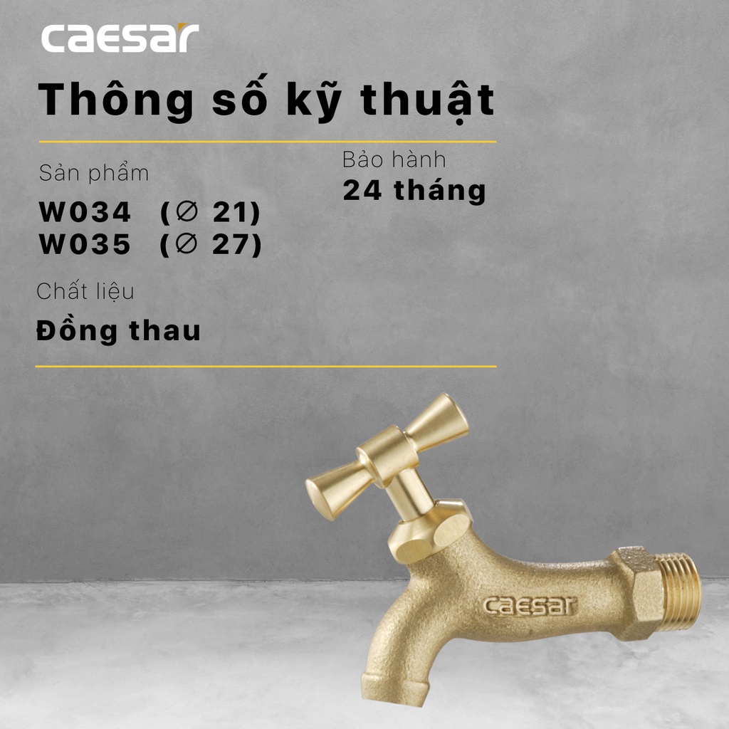 Vòi Lạnh Gắn Tường - W035