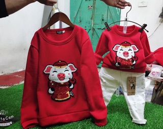 Combo(nỉ heo+dạ ép+áo lông)