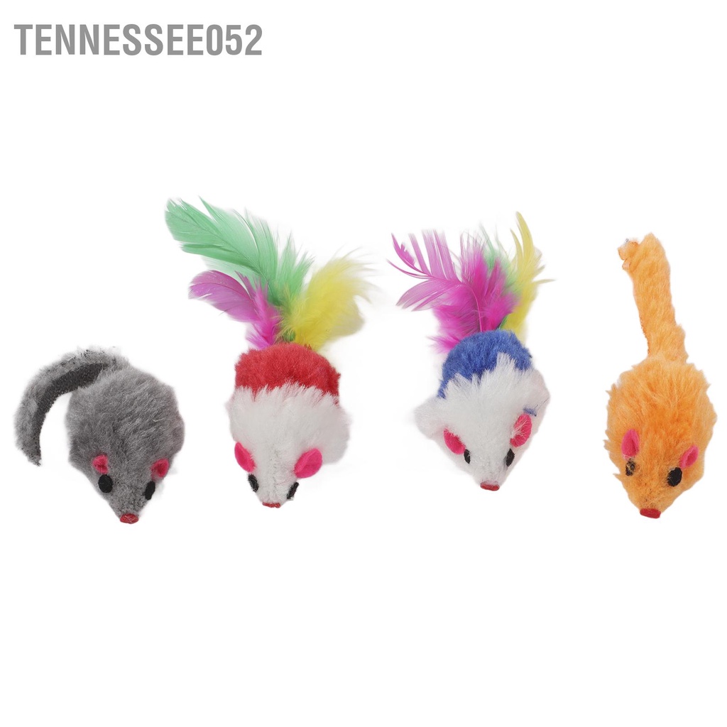 Tennessee052 22 cái Đồ chơi cho mèo Nhiều sự kết hợp khác nhau quả cầu lông vũ tương tác