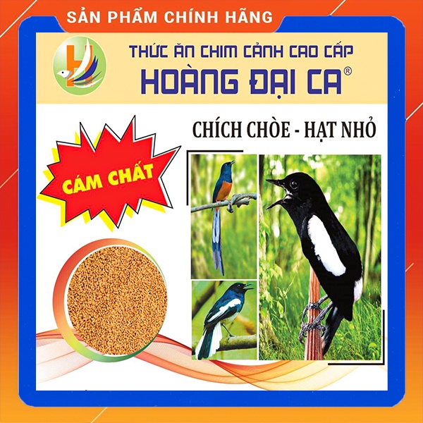 [Cám chất 200g]Cám Chim Chích Chòe Hoàng Đại Ca (Chích Chòe Lửa, Chòe Đất).