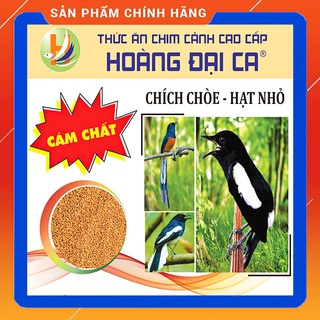 Cám Chim Chích Chòe Hoàng Đại Ca (Chích Chòe Lửa, Chòe Đất).