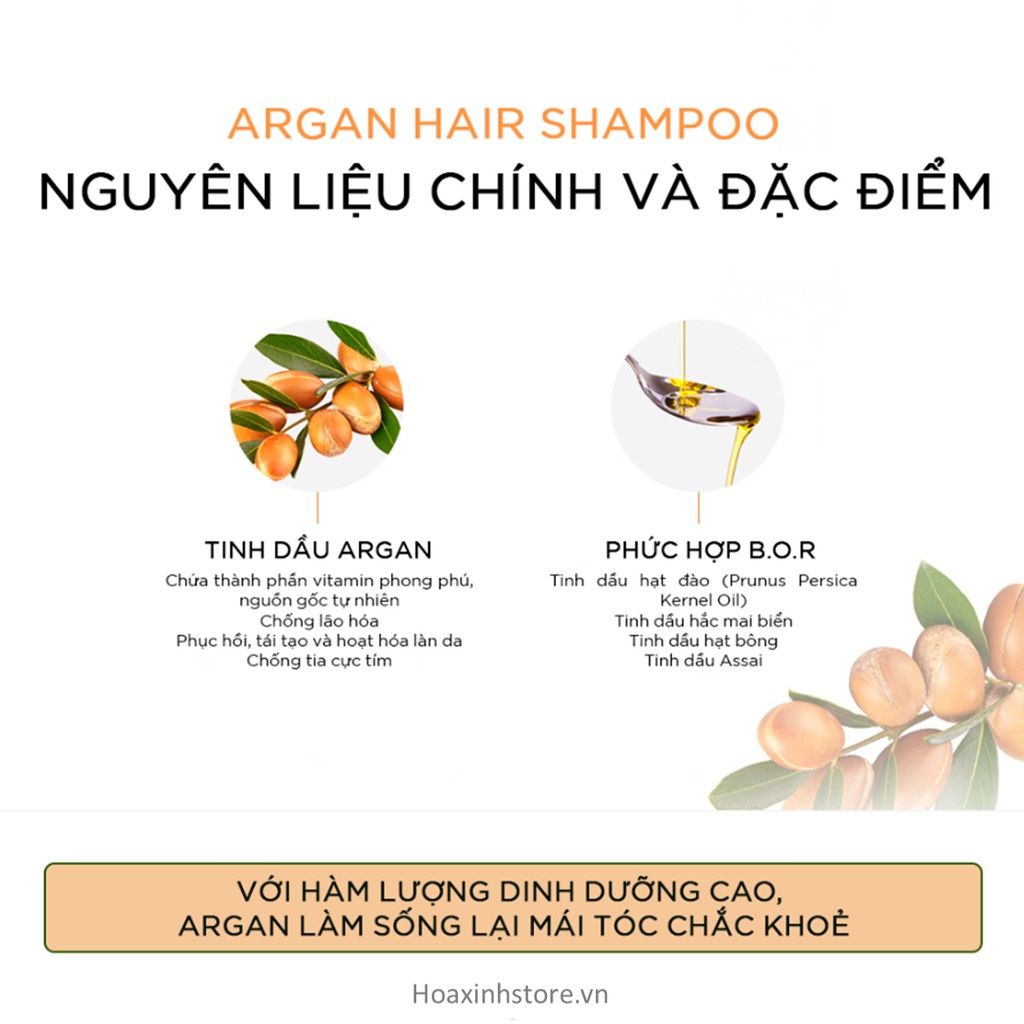 Combo Dầu Gội Và Dầu Xả Phục Hồi Tóc Hư Tổn Around Me Argan Hair Shampoo 500ml/chai