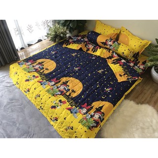 Set Chăn Ga Gối Cotton 5 Món Chăn Hè