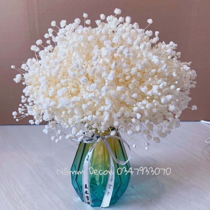 Set Lọ hoa baby khô trang trí nhà cửa, bàn làm việc, không gian sống, lọ thuỷ tinh kèm hoa baby khô đủ màu sắc phong pú