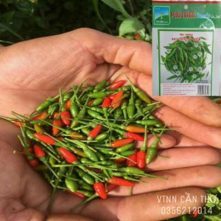🌶🌶Hạt Giống Ớt Xiêm Rừng Siêu Trái 🌶🌶