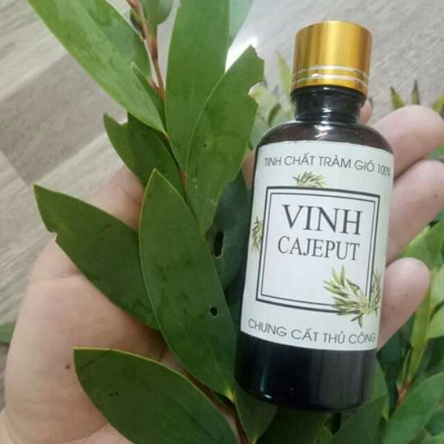 Tinh chất tràm gió 50ml