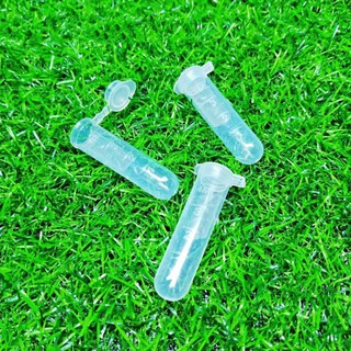 Ống Trữ Đông Artemia Nhựa PS/PP/PVC Trong Suốt Bền Đẹp