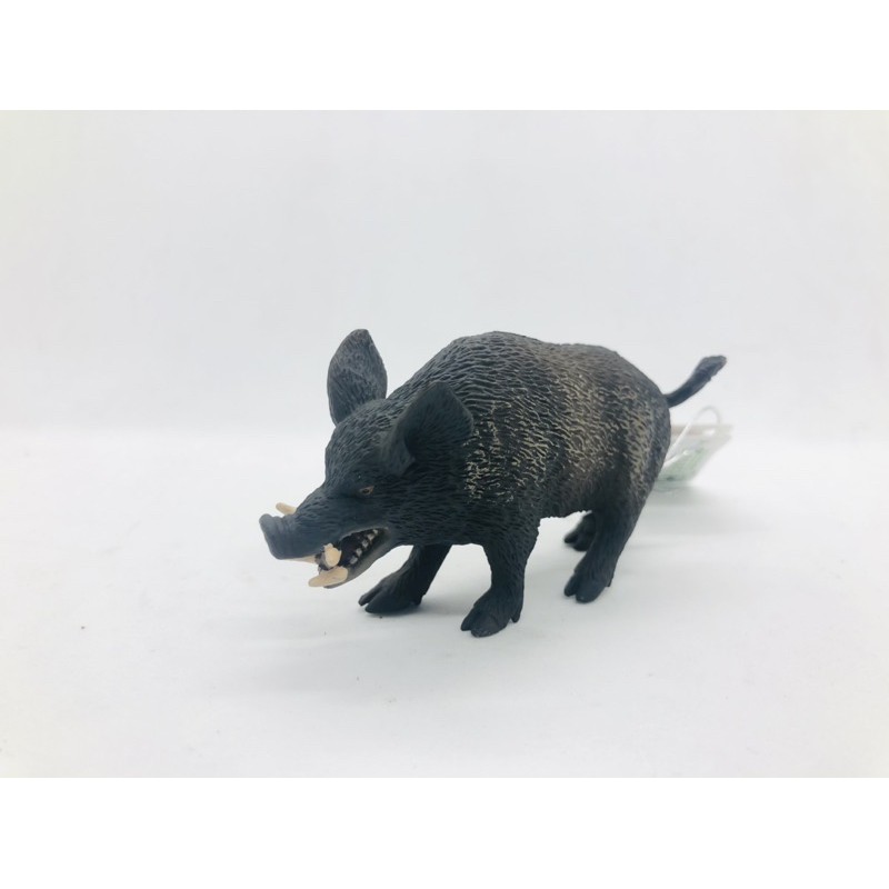 Mô hình động vật CollectA chính hãng Lợn ( heo ) rừng 88363 - Schleich House