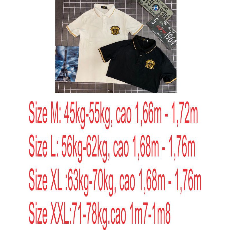 Áo thun nam có cổ đính đá thêu kim sa tay ngắn vải cotton co dãn 2 màu trăng đen cao cấp.