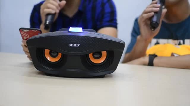 Loa karaoke mini di động SD-306 loa hát âm lớn, hát karaoke hay/Tặng Kèm 2 Mic Không Dây | BigBuy360 - bigbuy360.vn