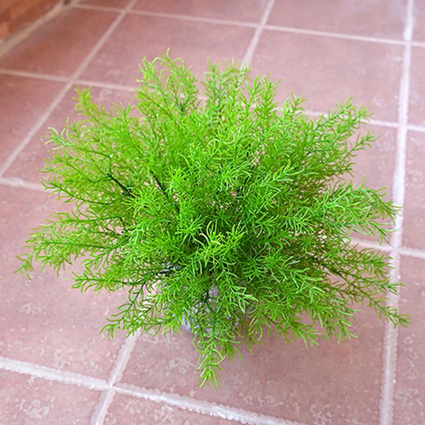 Cây Dương Xỉ Giả Trang Trí Nhà Cửa