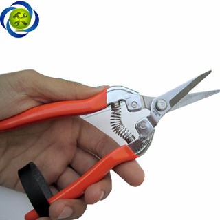 KÉO CẮT CÀNH BUDDY BD024