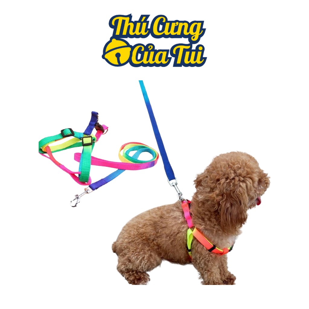 Dây Dắt Đai Người Cầu Vồng Cho Chó Mèo Dưới 5kg - Thú Cưng Của Tui
