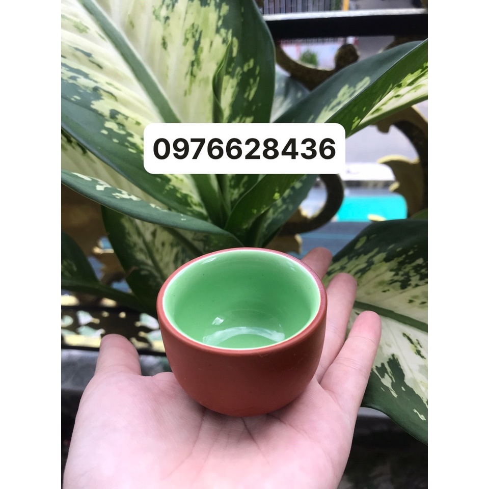 Chén trà gốm tử sa Bát Tràng dung tích 50ml