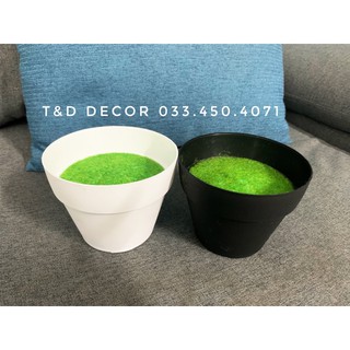 Chậu xốp cắm cây size bé
