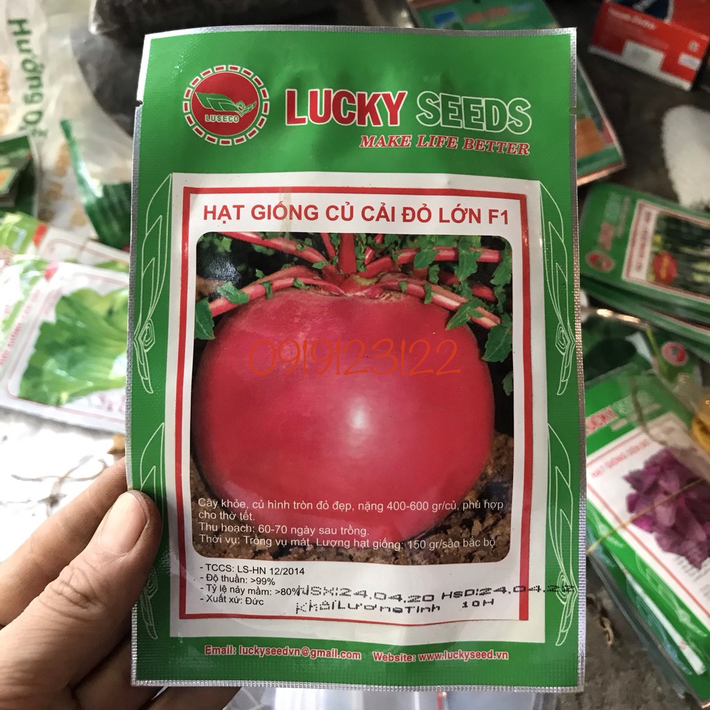 Hạt giống củ cải đỏ lớn F1