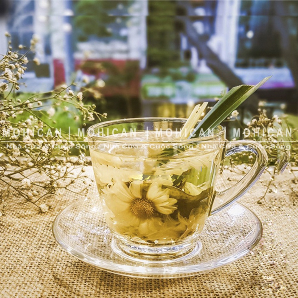 Ly thủy tinh có quai Ocean Café Kenya Cup 245ml, cốc thủy tinh đẹp uống đồ nóng, cà phê, nhập khẩu Thái Lan OCEG-P01641