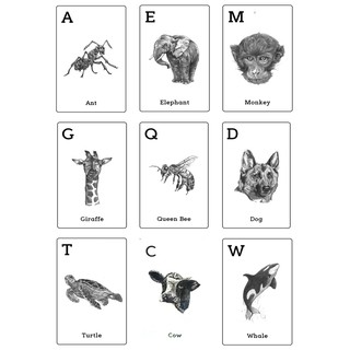 Bộ 46 thẻ học ANIMAL 4D cho bé - SPACE 4D