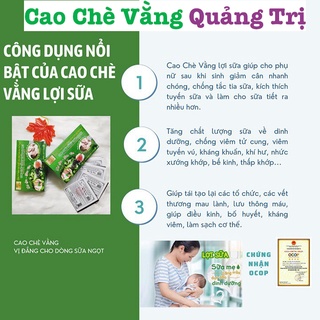 Cao chè vằng lợi sữa giảm cân sau sinh quảng trị 100 gram trà vằng thương - ảnh sản phẩm 3