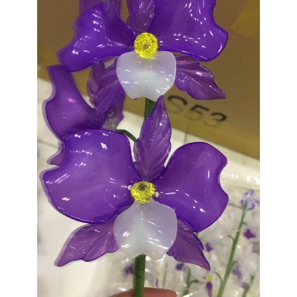 Cánh cong size vừa .