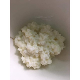 100 gram nấm sữa Kefir