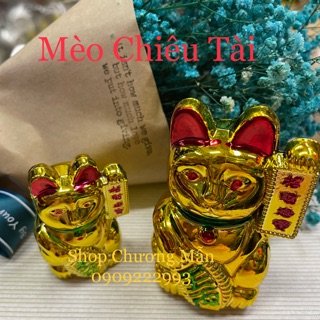 Shop Chương Mẫn 421