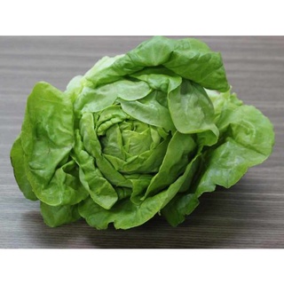 Hạt giống xà lách đăm (xà lách cuộn)