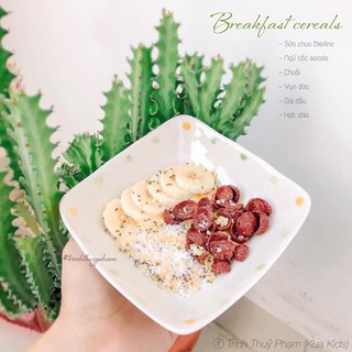 Sữa chua nguội Bledina Pháp