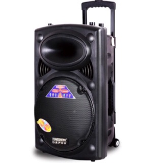Loa kéo temeisheng DP-297L chuẩn hát Karaoke