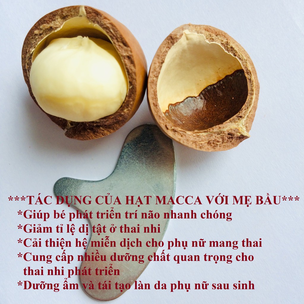 500g Hạt MACCA (Mắc ca) SẤY LẠNH Size Lớn 23-27mm | BigBuy360 - bigbuy360.vn